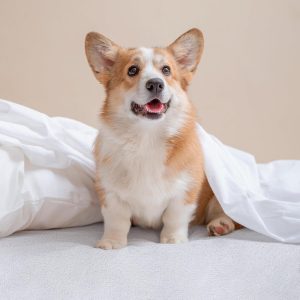 Husa impermeabila saltea 180x200x35 Microfibra cu elastic de jur imprejur - imagine 3