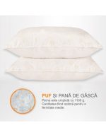Set 2 perne puf alb cu trandafiri 50x70 cm Set 2 perne puf alb cu trandafiri 50x70 cm - imagine 1