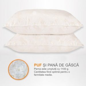 Set 2 perne puf alb cu trandafiri 50x70 cm - imagine 1